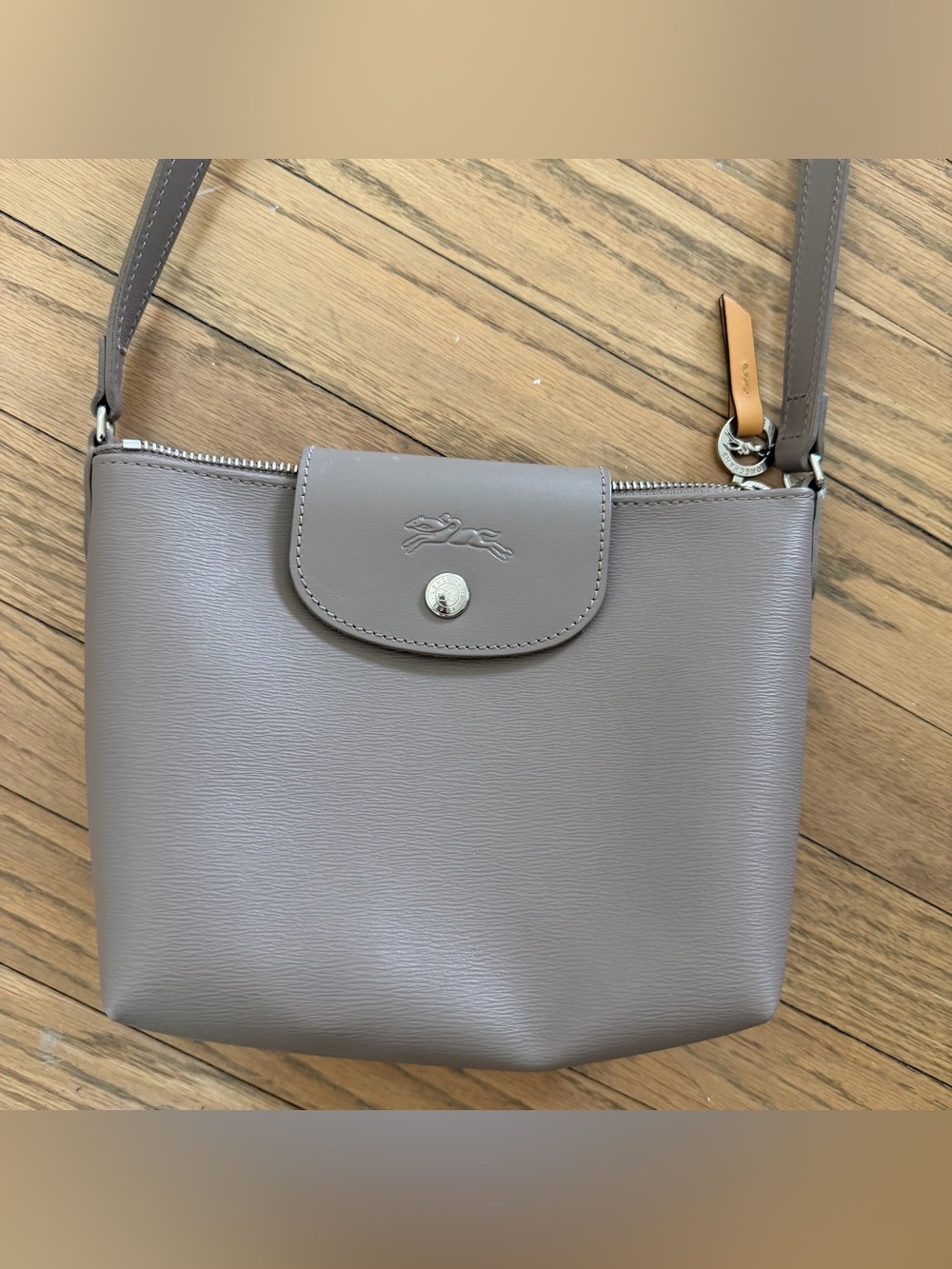 Longchamp Taupe Leather Crossbody Bag